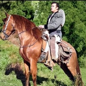 Meet your Posher, Ricardo